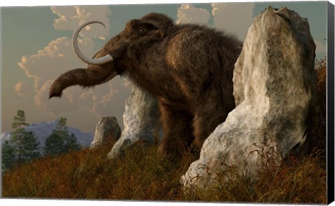 Framed mammoth standing among stones on a hillside Print