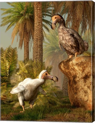 Framed pair of Dodo birds play a game of hide-and-seek Print