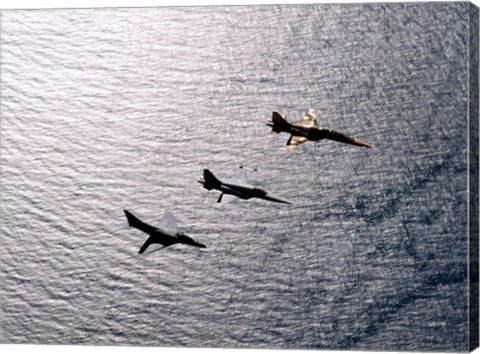 Framed F-5F Tiger II, F-5E Tiger II and A-4 Skyhawk Print