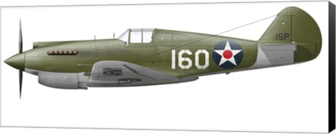 Framed Illustration of a Curtis P-40 Warhawk Print