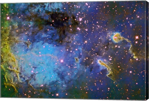 Framed IC 410, The Tadpole Nebula Print