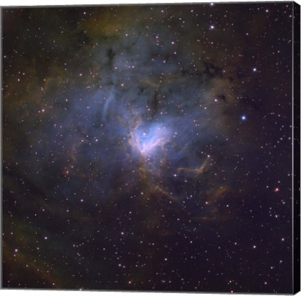 Framed NGC 1491, an emission nebula in the constellation of Perseus Print