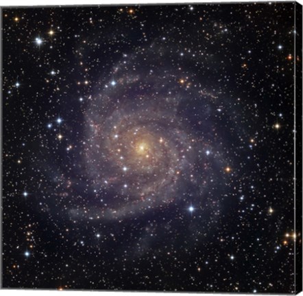 Framed IC 342, an intermediate spiral galaxy in the constellation Camelopardalis Print