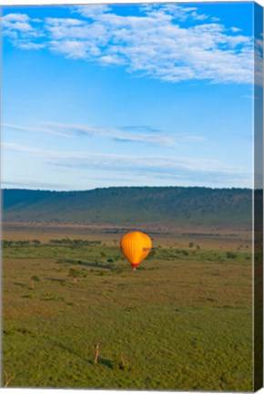 Framed Kenya, Maasai Mara, hot air ballooning at sunrise Print