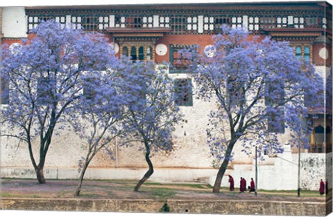 Framed Monks, Punakha Dzong Palance, Bhutan Print