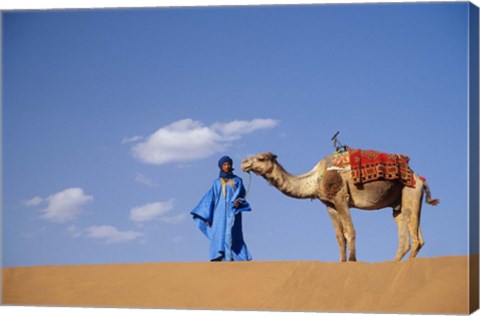 Framed Man leading camel on sand dunes, Tinfou (near Zagora), Morocco, Africa Print