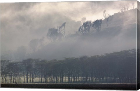 Framed Mist rising from escarpment, Lake Nakuru National Park, Kenya Print