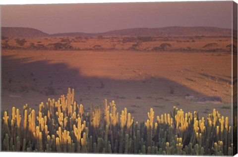 Framed Landscape View, Serengeti National Park, Tanzania Print