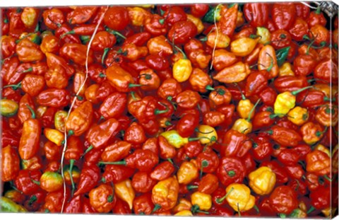 Framed Hot Red Pepper at the Local Market, Madagascar Print