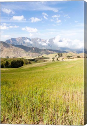 Framed Grassy plains, Semien Mountains National Park, Ethiopia Print
