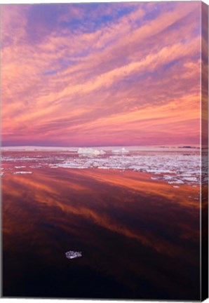 Framed Iceberg and floes in the ocean at sunrise, Antarctica Print