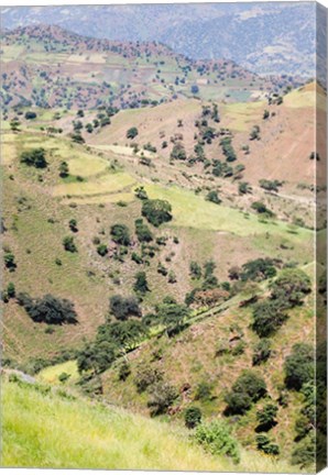 Framed Landscape in Tigray, Northern Ethiopia Print