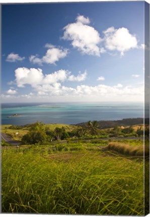 Framed Mauritius, Rodrigues, Pompee, Ile Hermitage Print