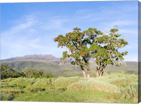 Framed Mount Kenya NP, Site in the highlands of central Kenya, Africa. UNESCO Print