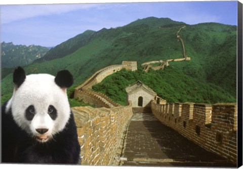 Framed Panda at the Great Wall of China Print