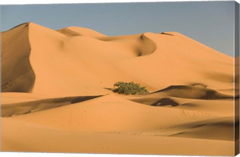 Framed MOROCCO, Tafilalt, MERZOUGA: Erg Chebbi Desert Print