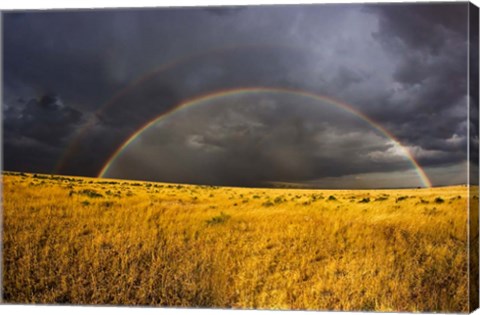 Framed Rainbow in mist, Maasai Mara Kenya Print