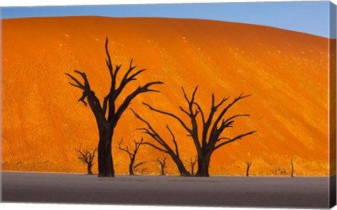 Framed Namib-Naukluft National Park, Namibia Print