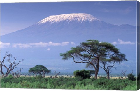 Framed Mount Kilimanjaro, Amboseli National Park, Kenya Print