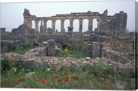 Framed Red Poppies near Basilica in Ancient Roman City, Morocco Print