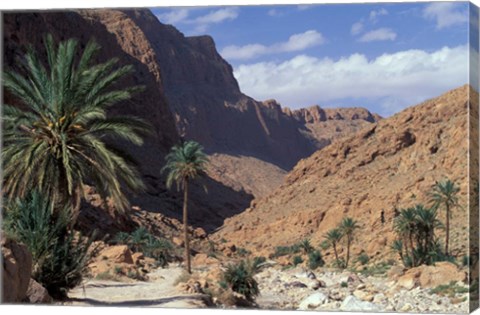 Framed Palm Trees and Creekbed Below Limestone Cliffs, Morocco Print