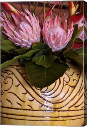 Framed Queen Protea and Heliconia, Umhlanga Rocks, Durban, Kwazulu Natal, South Africa Print