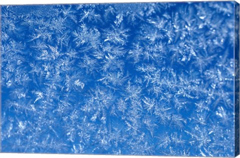 Framed Pattern of Winter Frost on Glass Print