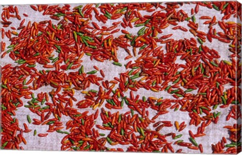 Framed Red Chili Drying in the Midday Sun, Madagascar Print