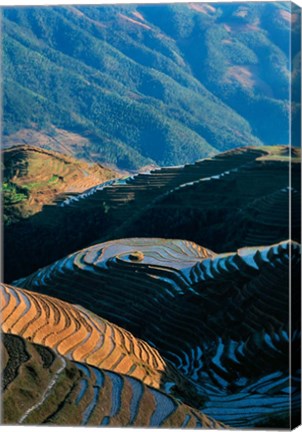 Framed Mountainside Rice Terraces, China Print