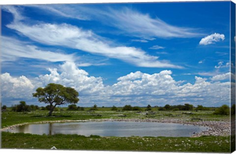 Framed Okaukuejo waterhole, Etosha National Park, Namibia Print