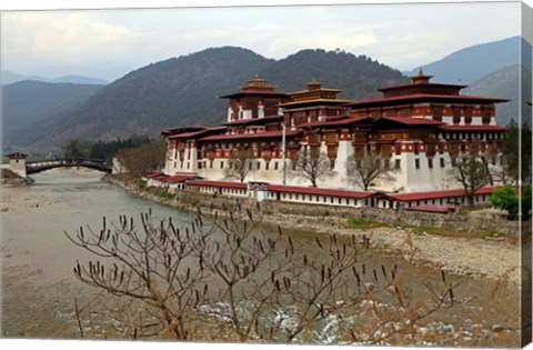 Framed Punakha Dzong, Punakha, Bhutan Print