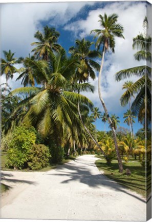 Framed Seychelles, La Digue, Palm lined country path Print