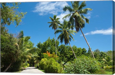 Framed Seychelles, La Digue. Remote island path Print