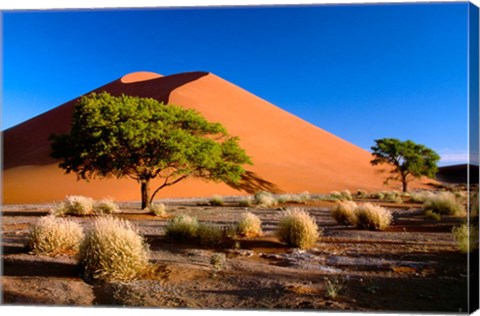 Framed Trees with Sossosvlei Dunes, Namib-Naukluff Park, Namibia Print