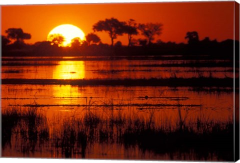 Framed Setting Sun over Lush Banks, Chobe National Park, Botswana Print