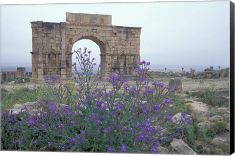 Framed Ruins of Triumphal Arch in Ancient Roman city, Morocco Print