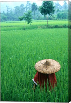 Framed Scenic of Rice Fields and Farmer on Yangtze River, China Print