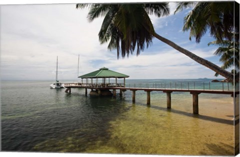 Framed Seychelles, Anse Bois de Rose, Coco de Mer, Resort Print