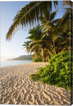 Framed Seychelles, Mahe Island, Anse Marie-Louise, dawn Print