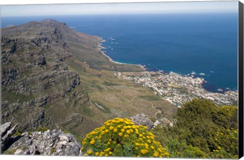 Framed South Africa, Cape Town, Table Mountain, Cape Peninsula Print