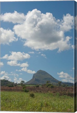 Framed Sugar Cane Fields, Mauritius Print
