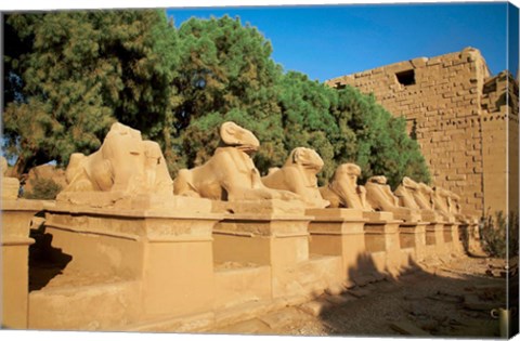 Framed Sphinxes, Temple of Karnak, Temple of Luxor, Avenue of Sphinxes, Luxor, Egypt Print