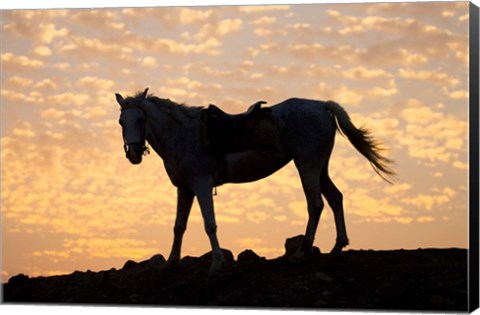 Framed Sunrise and Silhouette of Horse and rider on the Giza Plateau, Cairo, Egypt Print