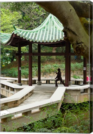 Framed Tai Chi Chuan in the Chinese Garden Pavilion at Kowloon Park, Hong Kong, China Print