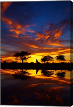 Framed Sunrise, Okaukuejo Rest Camp, Etosha National Park, Namibia Print