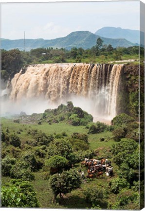 Framed Tis Isat, waterfall, Blue Nile, Ethiopia Print