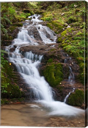 Framed Waterfall, Bhutan Print