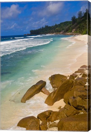 Framed Tropical Beach, La Digue Island, Seychelles, Africa Print