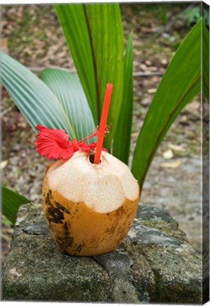 Framed Tropical cocktail drink on Fregate Island, Seychelles Print