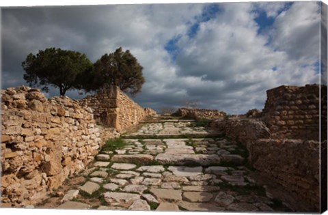 Framed Tunisia, Carthage, Roman Villas, Ancient Architecture Print